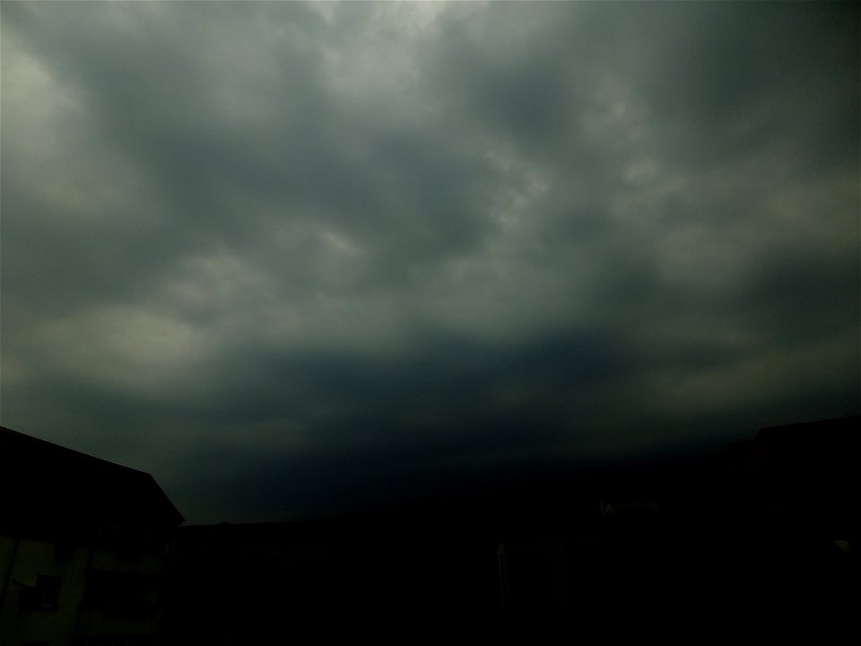 nori-sediu2015_0507_074820(2)