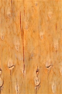 Texture
