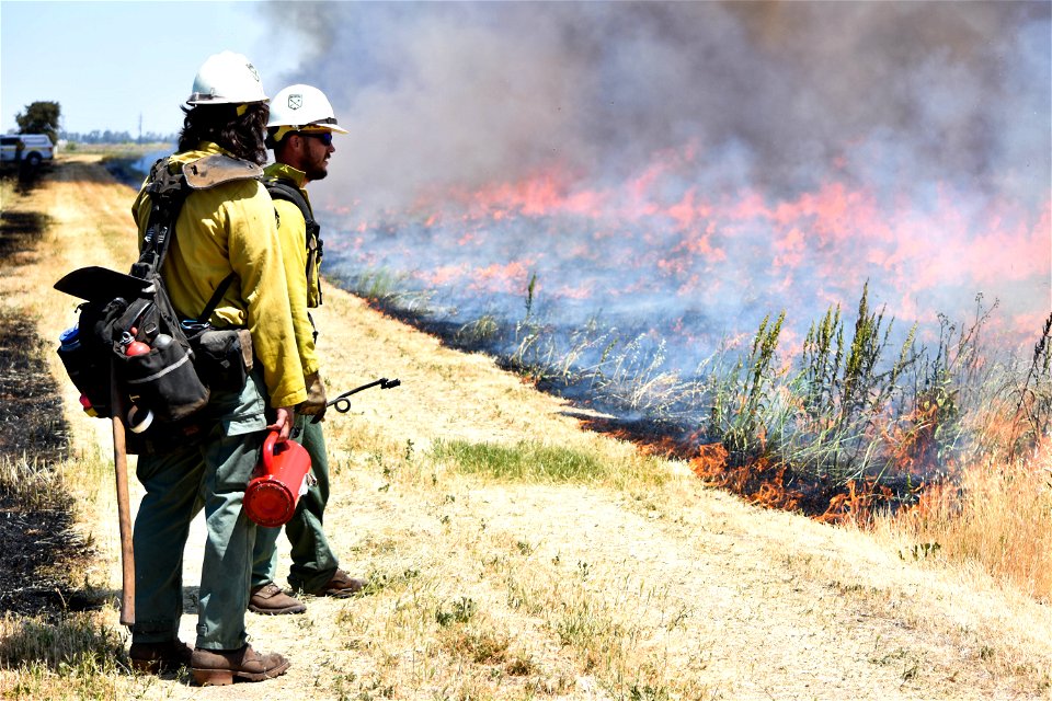BLM’s Folsom Lake Veterans Crew perform RX Burn at Cosumnes River Preserve restoring critical habitat.