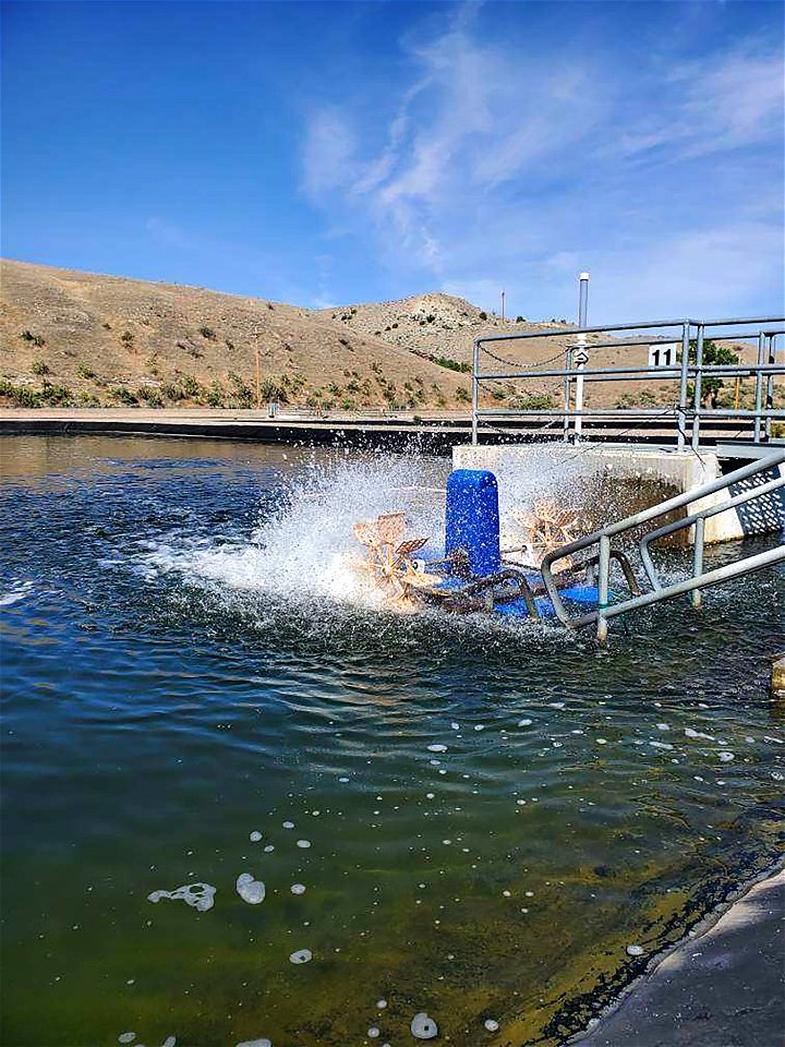 Paddle aerator photo