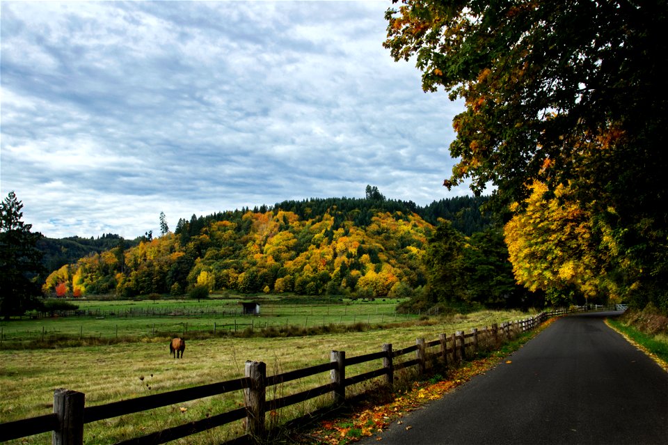 Coastal range farm in fall, Oregon