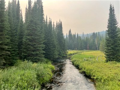 2022 BLM Employee Photo Contest Category - The Land We Protect photo