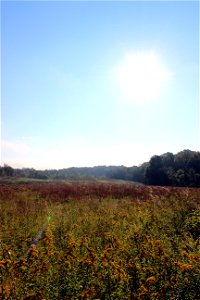End of Summer at Pierce Cedar Creek Institute