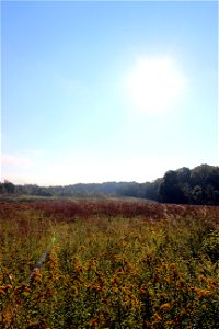 End of Summer at Pierce Cedar Creek Institute photo