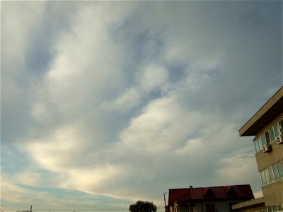 nori-fabr2008_1120_203048
