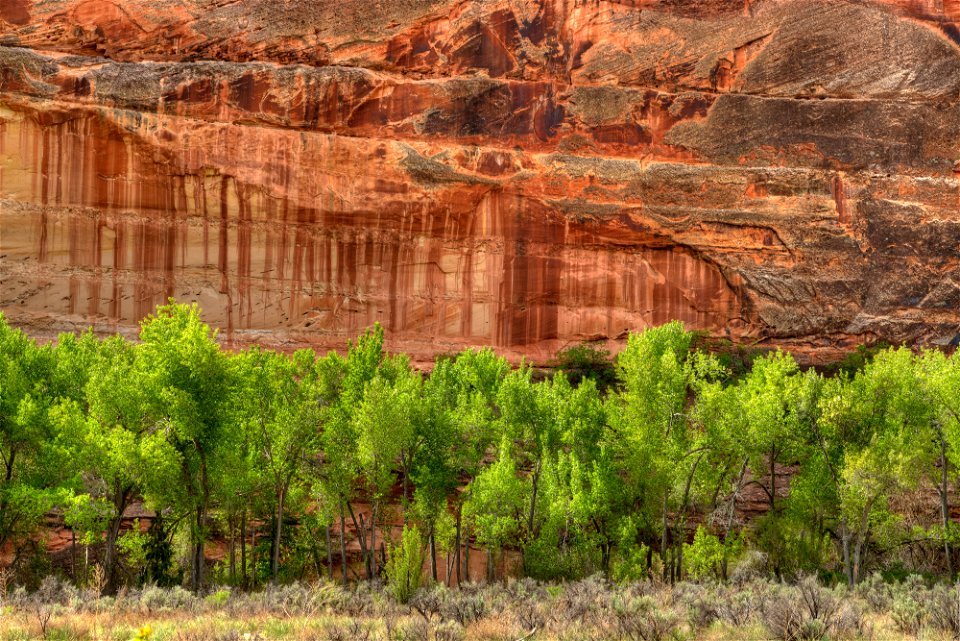 Grand Staircase-Escalante National Monument - 25th Anniversary