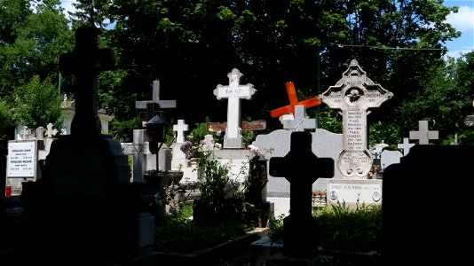 Bellu_cemetery (59)