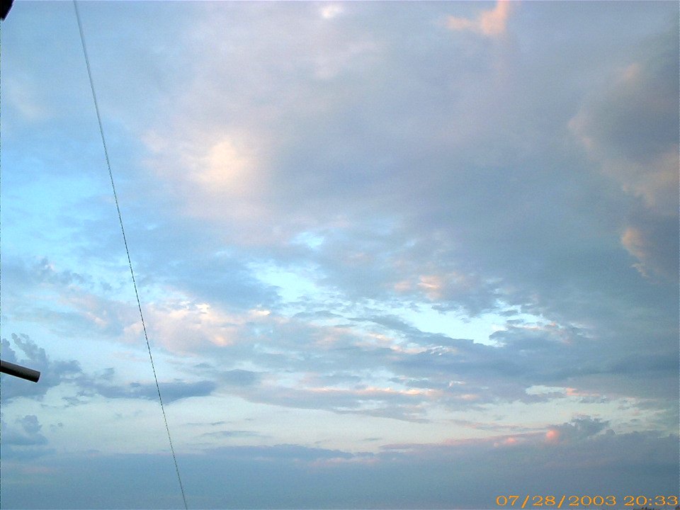 apus-caleavitan2003_0729_084212_17145918868_o