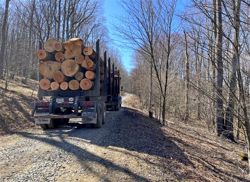 20230410-FS-Monongahela-WestForkTimberSale-KMB-01