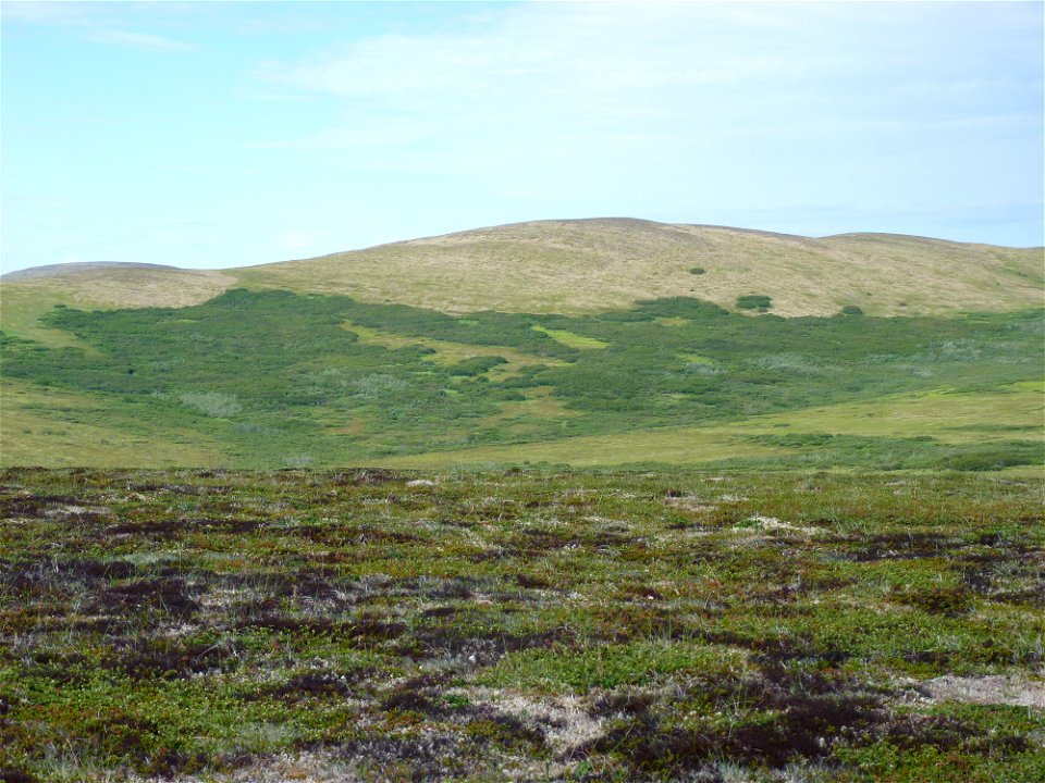 Andreafsky Wilderness photo