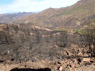 Switchback view