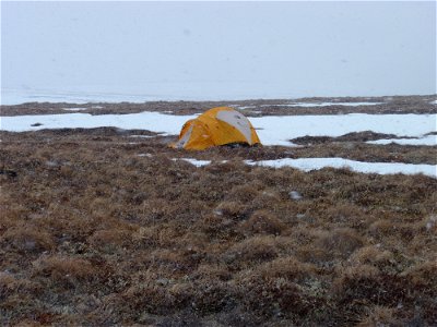 Start of snowstorm photo