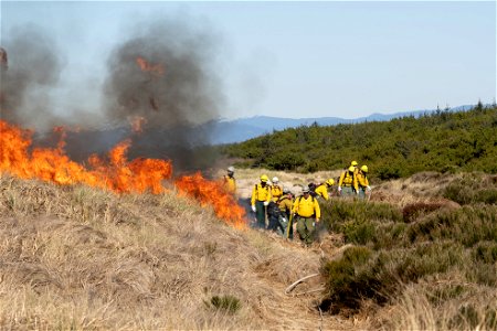 Siuslaw Oregon Dunes Prescribed Burn 2022