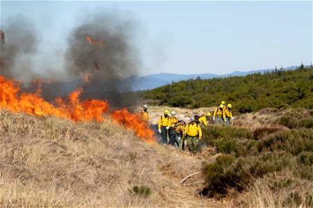 Siuslaw Oregon Dunes Prescribed Burn 2022 photo