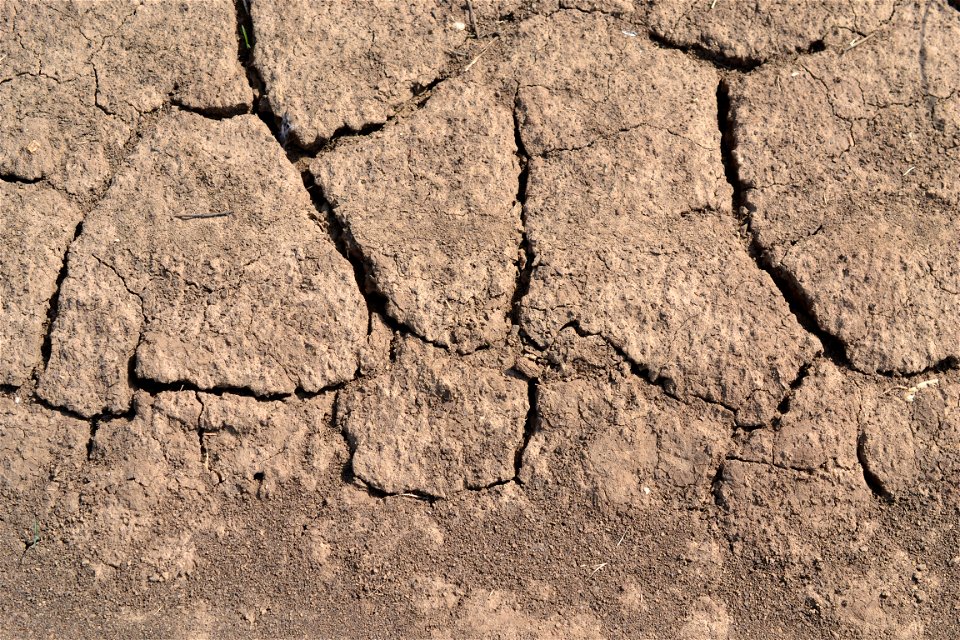 Free textures with cracks