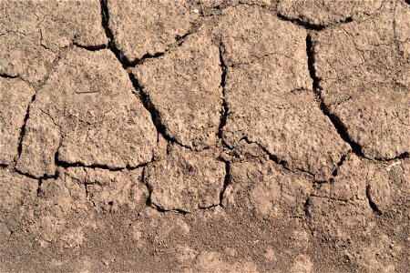 Free textures with cracks