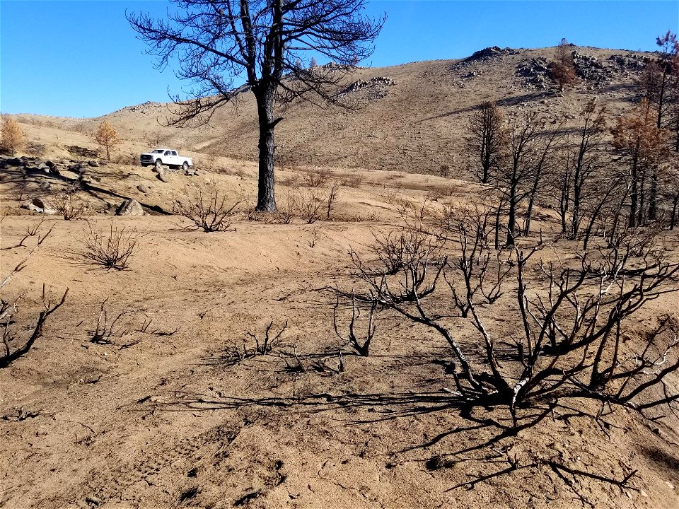 Aerial seeding after wildfire