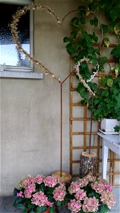 IMG_20211003_171445