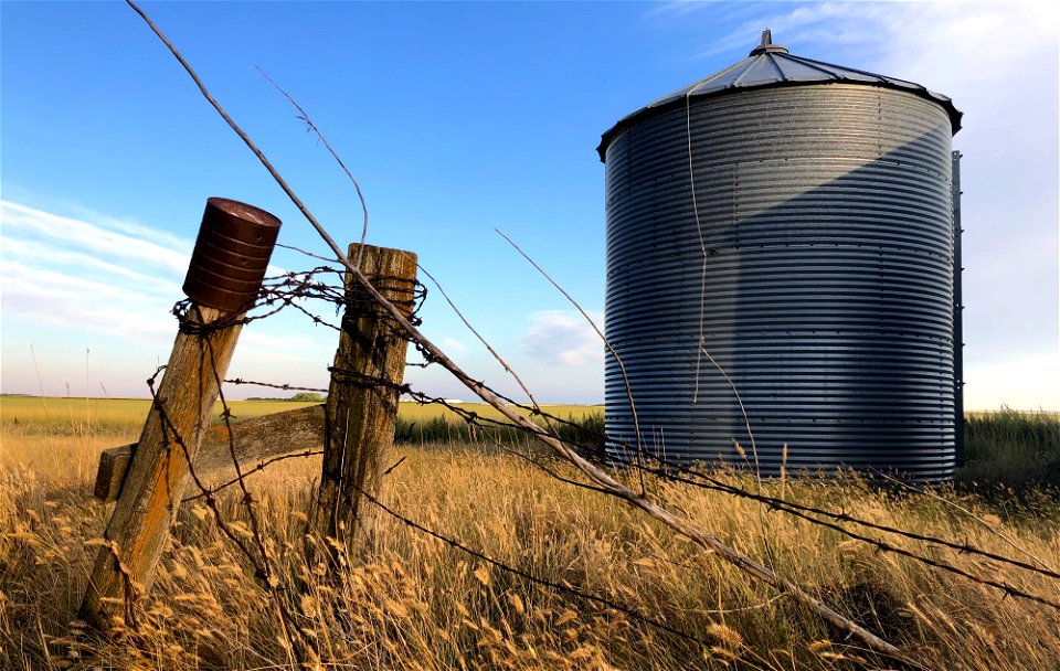 2021/365/222 Prairie Still Life