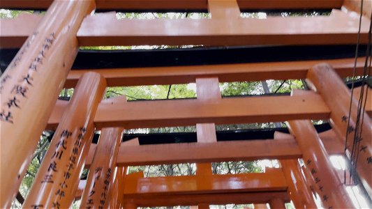 伏見稲荷/Fushimi Inari Shrine