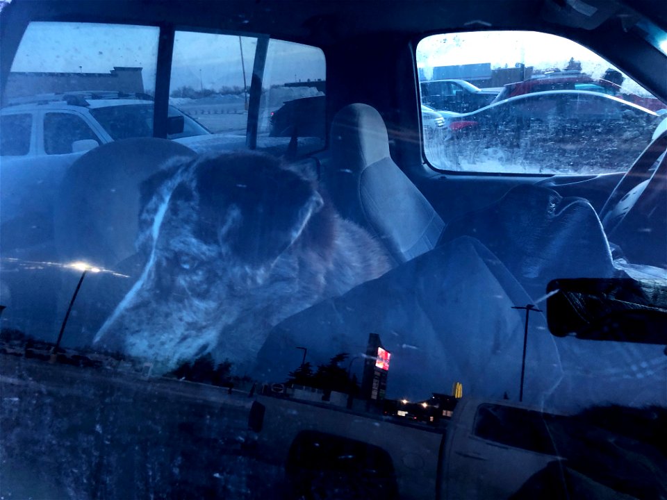 2022/365/350 Waiting in the Cold Truck