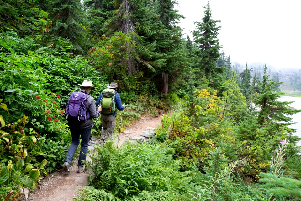Bagley Lakes-Before-Heather Meadows-Mount Baker-8