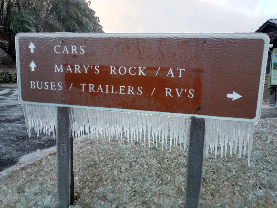 Ice Storm 202