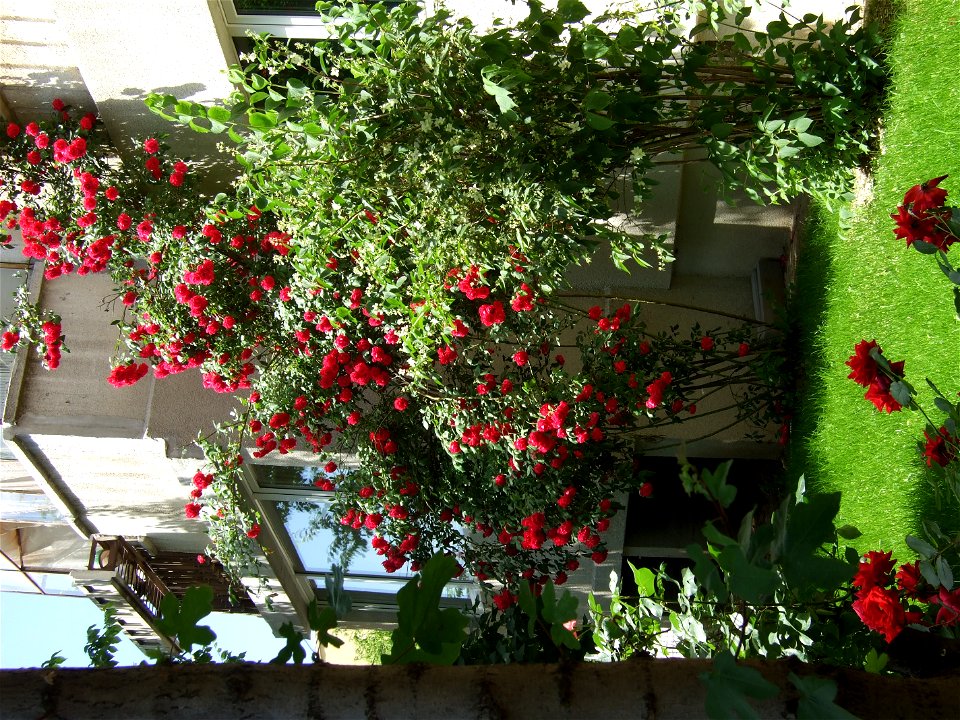 trandaf2009_0524_104813