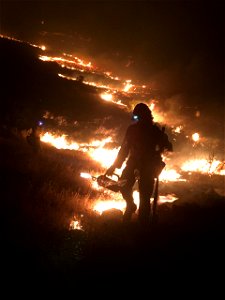 2021 BLM Fire Employee Photo Contest Category: Fire Personnel photo
