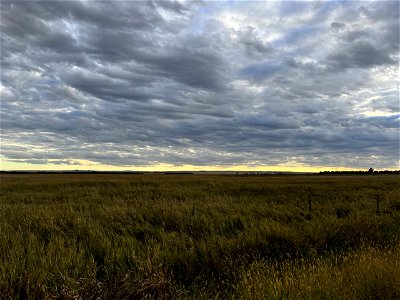 Refuge in the Evening Lake Andes Wetland Management District South Dakota