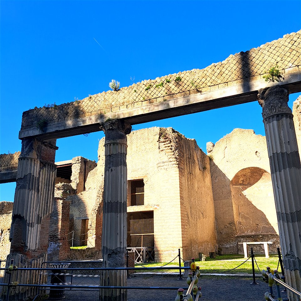Columns of the Palaestra  Herculaneum Italy