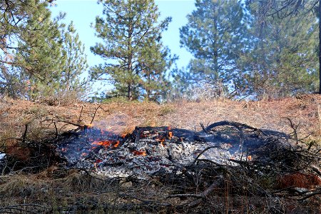 Charcoal Gulch Pile Burn, Idaho City