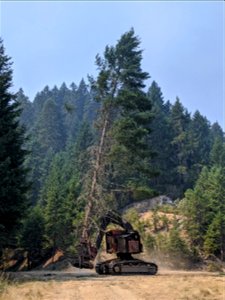 2021 BLM Fire Employee Photo Contest Category: Fuels Management and Prescribed Fire photo