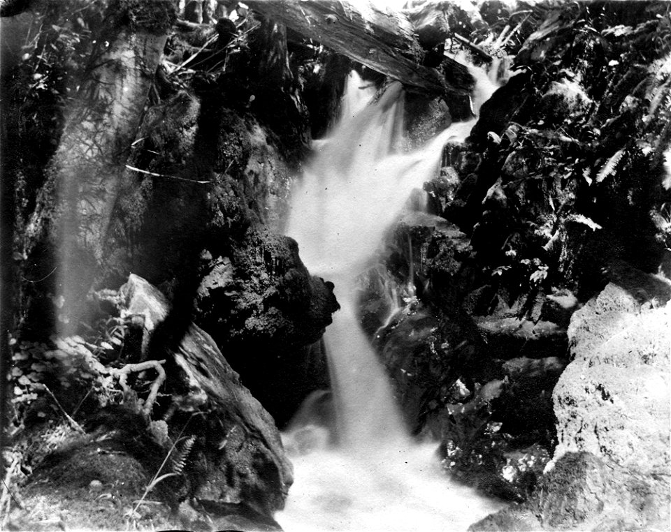 umpqua-nf---creek-or-c1910jpg_49385177363_o