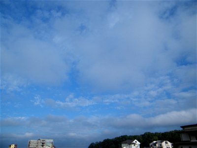 nori2010_0930_085431