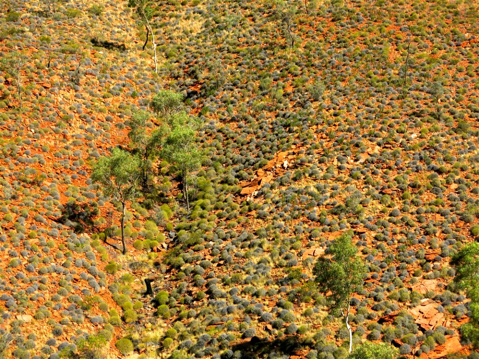Between Birthday Waterhole and Hugh Gorge (section 5)