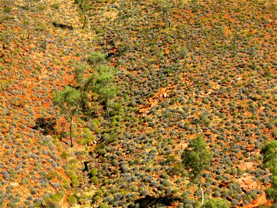 Between Birthday Waterhole and Hugh Gorge (section 5)
