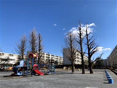 Shimosato in Higashikurume-shi photo