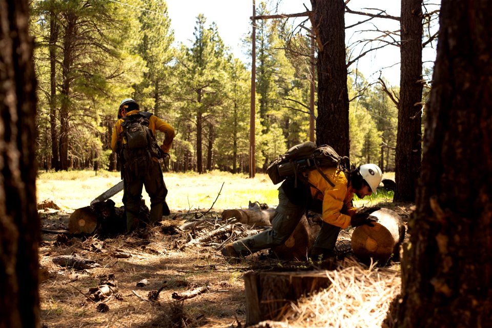 Volunteer Fire