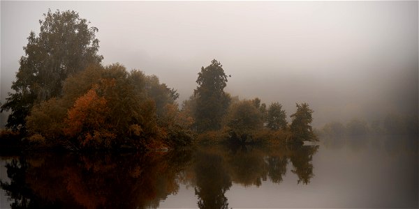 Insel im Nebel photo