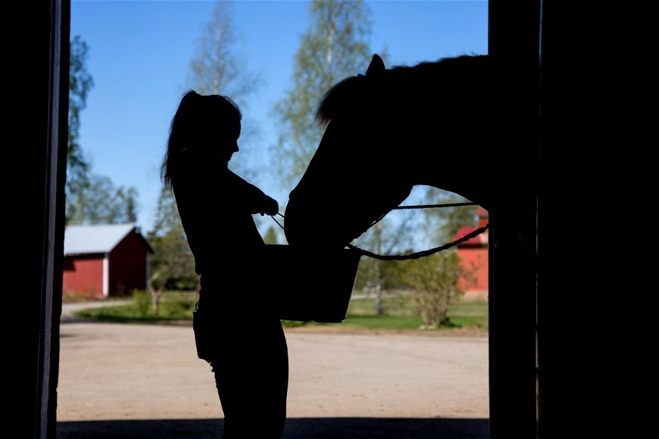 Similän Ratsutila, Tammela