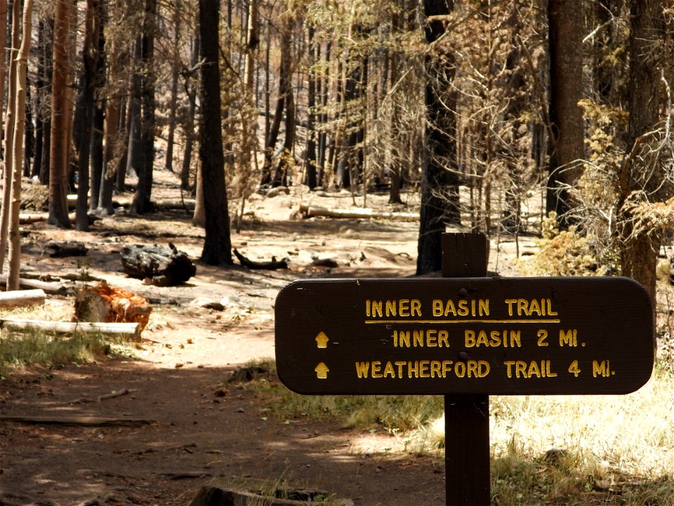 Pipeline/Haywire Fires June 2022