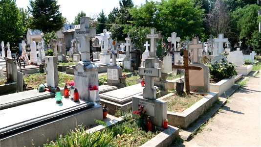 Bellu_cemetery (39)