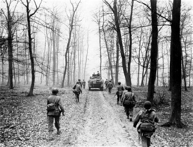 SC 270690 - Men of Baker Company, Fifth Infantry Division, move up through the woods outside Neuheim, enroute to Schweinheim, Germany, with tank support. photo