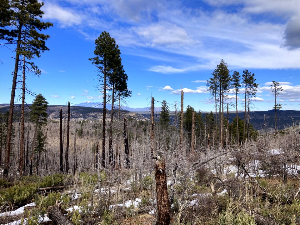 A.B. Young Trail