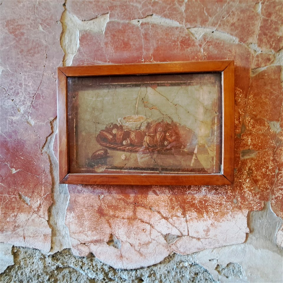 Fresco of maybe Pomogranates maybe chestnuts  Herculaneum Italy