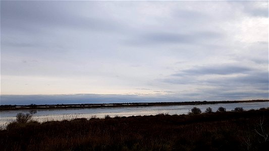 Les marais salants de Salins-de-Giraud