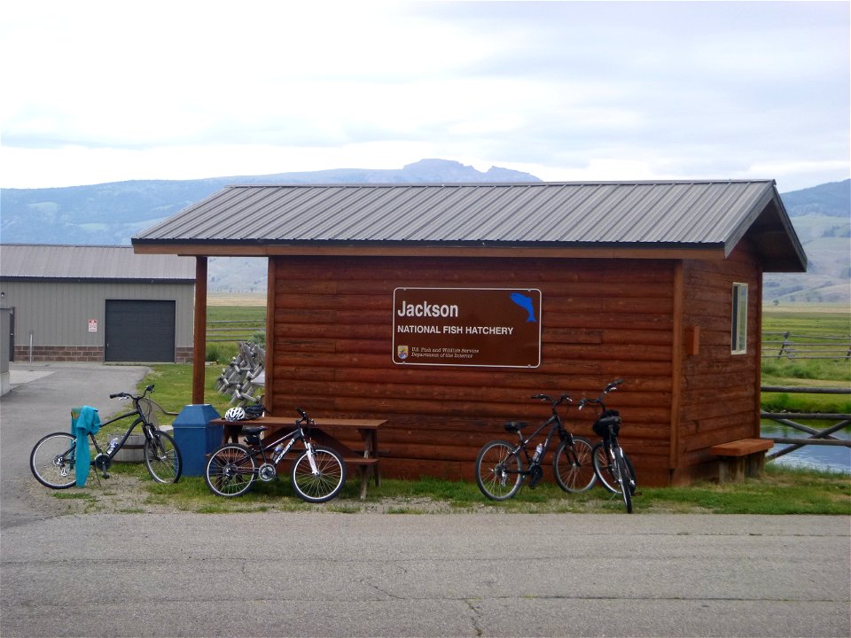 Biking to the Hatchery