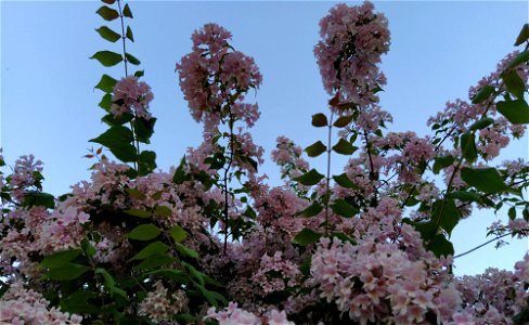 IMG_20220610_194606
