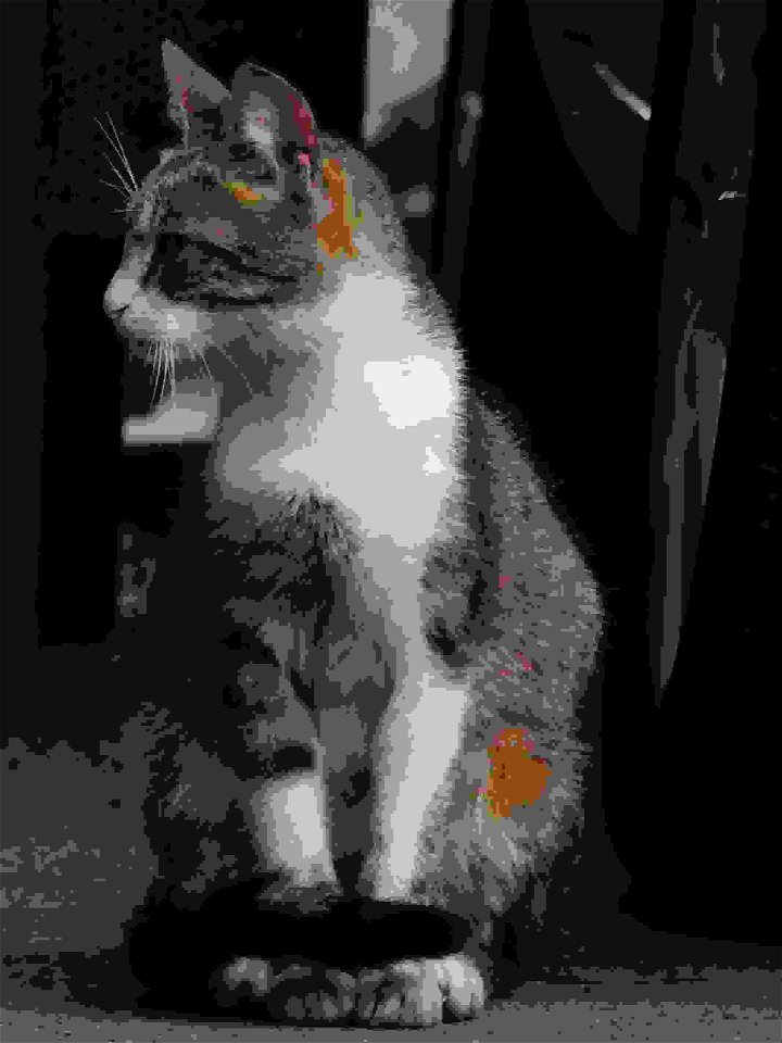 independent_cats_str2017_0630_182752